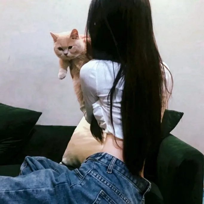 决战犹马镇